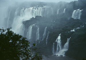 LEICA M6, HEKTOR 4,5/135